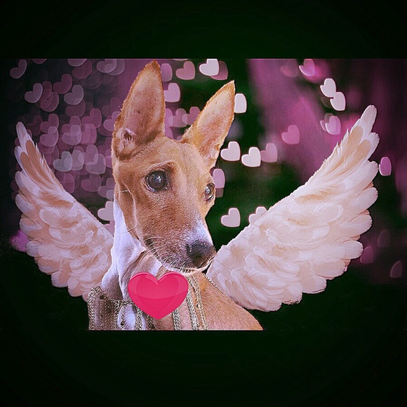 NO clowning around.... - Picture 8 of 16